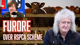 Are Vegan Activists Right To Demand End Of Farm Assurance Scheme [upl. by Zoila]