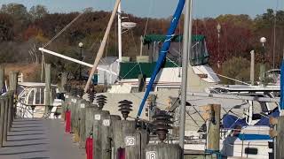 Herrington Marina in Herring Harbor Maryland [upl. by Allenrac97]