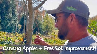 Make Your Garden Great  Homestead Vlog  November 11 2024 [upl. by Sven]