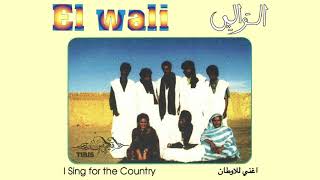 El Wali  I Sing for the Country from Tiris [upl. by Kristen]