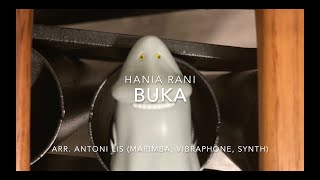 Hania Rani  Buka Antoni Lis  marimba vibraphone synth [upl. by Arorua]