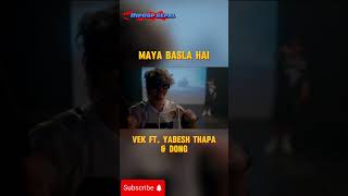 VEK  Maya Basla Hai feat Yabesh Thapa amp Dong shorts [upl. by Atnima]