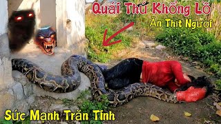 Hiếu Vlogs  Quái Thú Hồ Ly Tinh 1000 Tuổi Đẻ Con Quái Vật Trăn Tinh Khổng Lồ Ăn Thịt Người Ma Ám [upl. by Latrice]