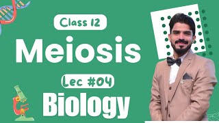 Meiosis Cell Cycle  Chapter 21  Biology Class 12 Lecture04 [upl. by Bobbee347]