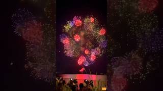 Biggest Firework Ever shortsfeed fireworks diwali diwalispecial india shorts trending facts [upl. by Naraj]