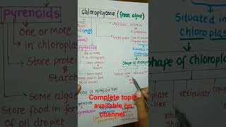 Chlorophyceae Green Algae part1neet2024algaeplantkingdomclass11shortsytshorts biologycbse [upl. by Yerbua]