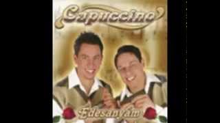 Capuccino együttes  Sárgarigó autentikus remix  2004 official audio [upl. by Bobker]