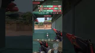 Luck or Skill Kill is Kill [upl. by Ellehcim]