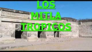 LOS MITLATROPICOS LA MORENA GUILLERMINA [upl. by Htepsle]