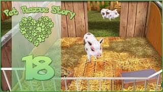 Pet Rescue Story  Three Little Piggies  Episode 18 [upl. by Morgenthaler193]