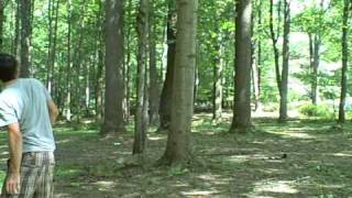 Patapsco Valley State Park Disc Golf  Mariottsville MD [upl. by Shedd]