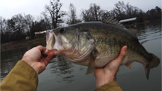 Jerk Bait Largemouth Bass Fishing Lake Bob Sandlin [upl. by Ashleigh]