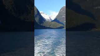 New Zealand Travel Vlog  Milford Sound Queenstown travelvlog traveldiaries shorts ytshorts [upl. by Hilario702]