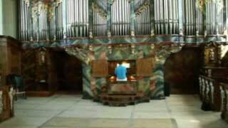 Gottlieb Muffat Toccata in a Toccata Tertia [upl. by Ocirnor]