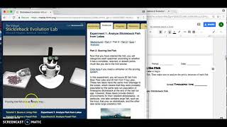 Stickleback Fish Evolution Virtual Lab [upl. by Siurtemed764]