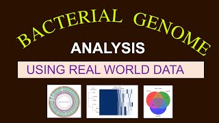 Whole Genome Sequence Analysis  Bacterial Genome Analysis  Bioinformatics 101 for Beginners [upl. by Assirolc]