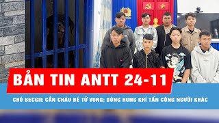 Bản tin ANTT 2411 Khởi tố tạm giam người chủ vụ chó becgie cắn cháu bé tử vong [upl. by Calvinna985]