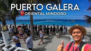 PUERTO GALERA 🇵🇭  Complete Commute Guide  Expenses  Where to Stay  Land Tour ENG SUB [upl. by Jaine]