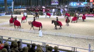 Ch de FRANCE 🇫🇷 CARROUSEL  Salon du CHEVAL 2011 [upl. by Arraet]