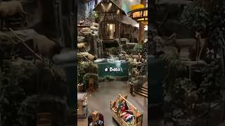 Man Jumps in Bass Pro Fish Tank 😂 [upl. by Attenwahs]