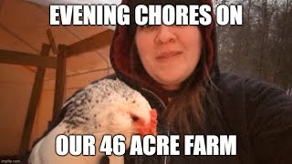 Evening Chores on Our 46 Acre Farm farming farmlife [upl. by Francyne]