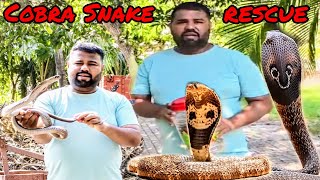 Cobra Snake Rescue from Farm house 😱😨🐍cobra rescue snake jeevdaya [upl. by Airdnola157]