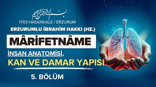 Marifetname  İnsan Anatomisi 2 Bölüm  Erzurumlu İbrahim Hakkı Hz  Antik Kütüphane [upl. by Asabi]