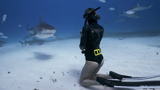 Freediving with a tiger shark [upl. by Bouchard]