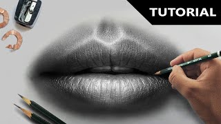 Draw Hyper Realistic lips  Stepbystep  Easiest method [upl. by Darnell344]