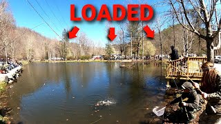 Trout Fishing OPENING DAY in Cherokee NC CROWDED POND FISHING [upl. by Randi]