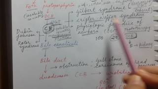 Bilirubin metabolism and Jaundice  USMLE STEP 1 [upl. by Htebsil]