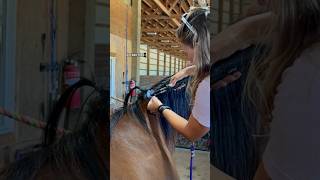 Hair Extensions on my Horse horsemanship horses equestrian shorts [upl. by Aeresed]