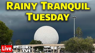 🔴Live A Rainy but Tranquil Tuesday at Epcot  Walt Disney World Live Stream  1924 [upl. by Lazaruk]