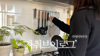 Sub 자취생 테무 amp 다이소템으로 주방꾸미기 🏡 냉장고 탈탈 털어 고깃집 된찌🍲 끓이는 브이로그 [upl. by Seiber]