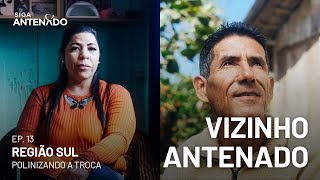 SigaAntenado  Vizinho Antenado  Ep 13 – Polinizando a troca [upl. by Nnairac]