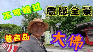 走近普及大佛，感受佛教文化魅力，震撼视觉！泼猴抢游客 [upl. by Adon671]