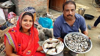 हमारे गाँव की फिश करी का स्वाद आपको महीनों तक रहेगा याद  Desi Style Fish Curry with BINOD KI RASOII [upl. by Drehcir]