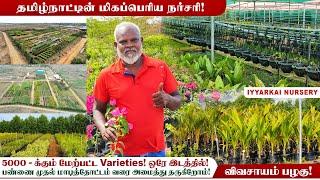 🌴🌿 இயற்கை நர்சரி மிகப்பெரிய உற்பத்தி நிலையம் 😱 No Hybrid plants ❗ Biggest nursery in tamilnadu [upl. by Humphrey562]