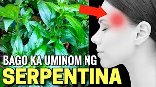 BAGO KA UMINOM NG SERPENTINA PANOORIN MO MUNA ITO [upl. by Erdnad62]