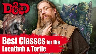 DampD Races 5e Locathah amp Tortle  What Character Class Should I Play [upl. by Breana]