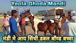 येवला मे आयी आज लोकल व्यापारी की गाडी।।4 बडीया बच्चे लाये मंडी मे।।Yeola Horse Market Video [upl. by Evangelin767]