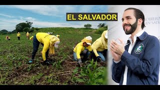 ASI ES LA GRANJA PENITENCIARIA DE MUJERES EN EL SALVADOR [upl. by Doerrer]