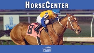 Lecomte and Louisiana top picks on HorseCenter [upl. by Mchugh]