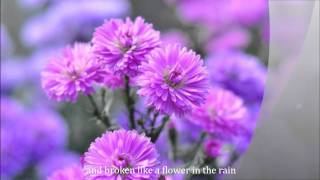 FLOWER IN THE RAIN by Jaci Velasquez with lyrics [upl. by Aljan]