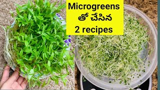 ఒక్కసారి ఈ పొడి వేసి moong dal Micro greens rice చేస్తే మళ్లీ మళ్ళీ చేసుకుంటారు [upl. by Bunny]