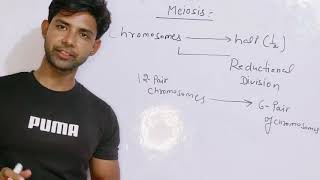 Meiosis  cell division cellcycle  Mitosis [upl. by Eilsek]