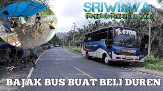 Demi Beli Duren Bus Rela berhenti di Tengah Jalan❗❗❗Trip Report Bus Sriwijaya BengkuluLampung [upl. by Edward166]