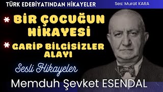 quotBir Çocuğun Hikayesiquot quotGarip Bilgisizler Alayıquot Memduh Şevket Esendal Hikayeleri [upl. by Atalaya]