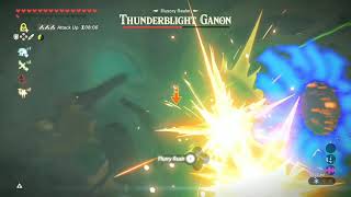 Illusory Realm Thunderblight Short Clip [upl. by Pinkham941]