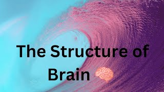 The Structure of Brain [upl. by Airt]